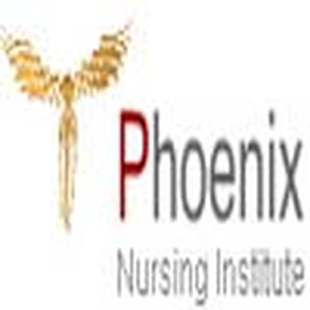 Read more about the article Phoenix Nursing Institute (PNI), Jalandhar